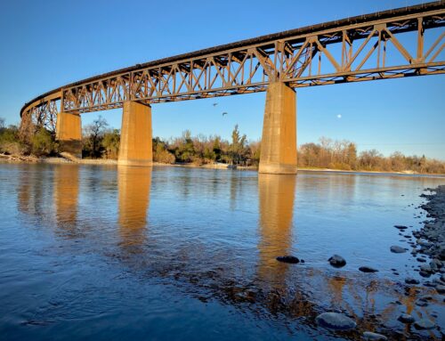 Innovative Iron Filtration System