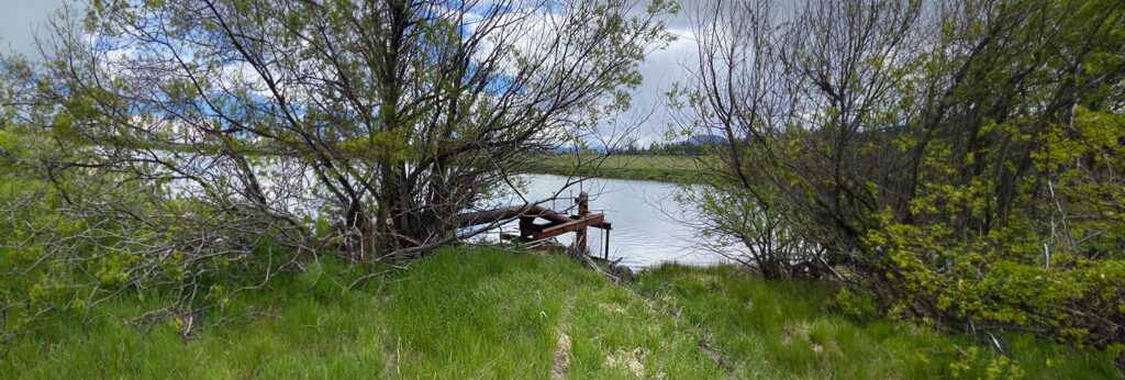 CS7-Cover-Ensuring-safe-potable-water-for-hospitality-use-V2