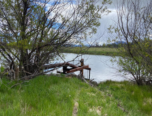 Ensuring Safe Potable Water for Hospitality Use